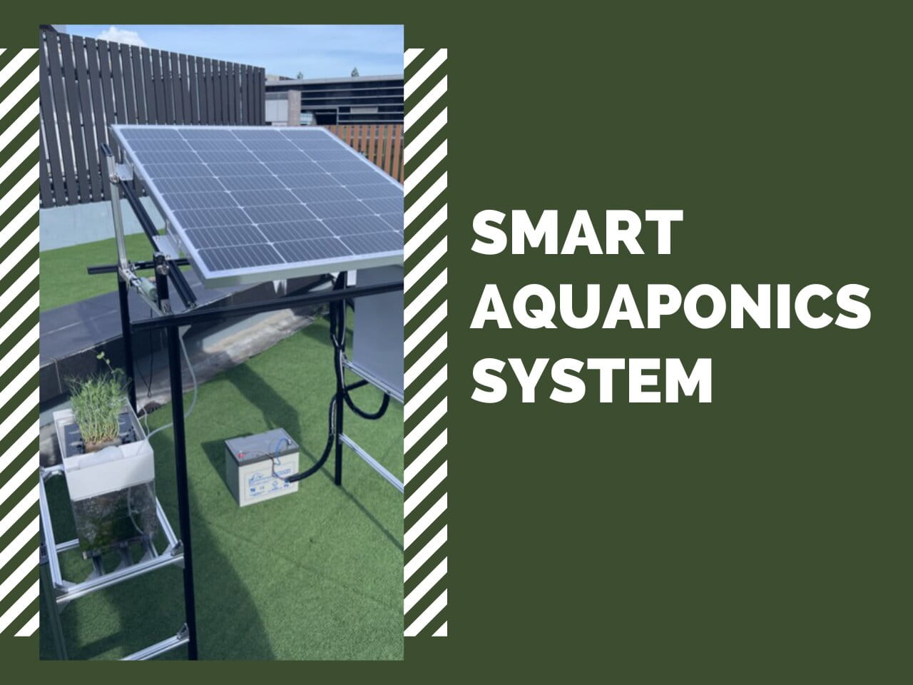 Smart Aquaponics System