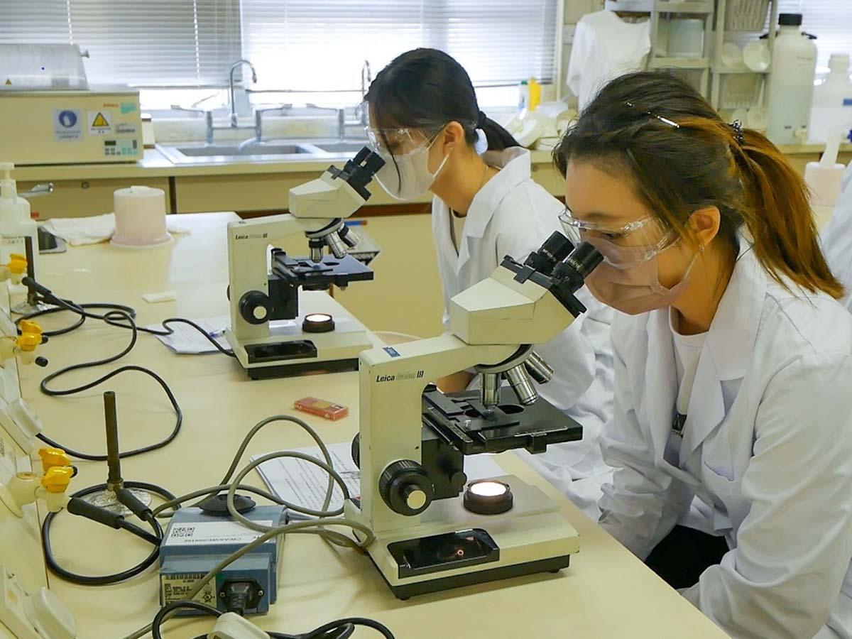 食品科学实验室