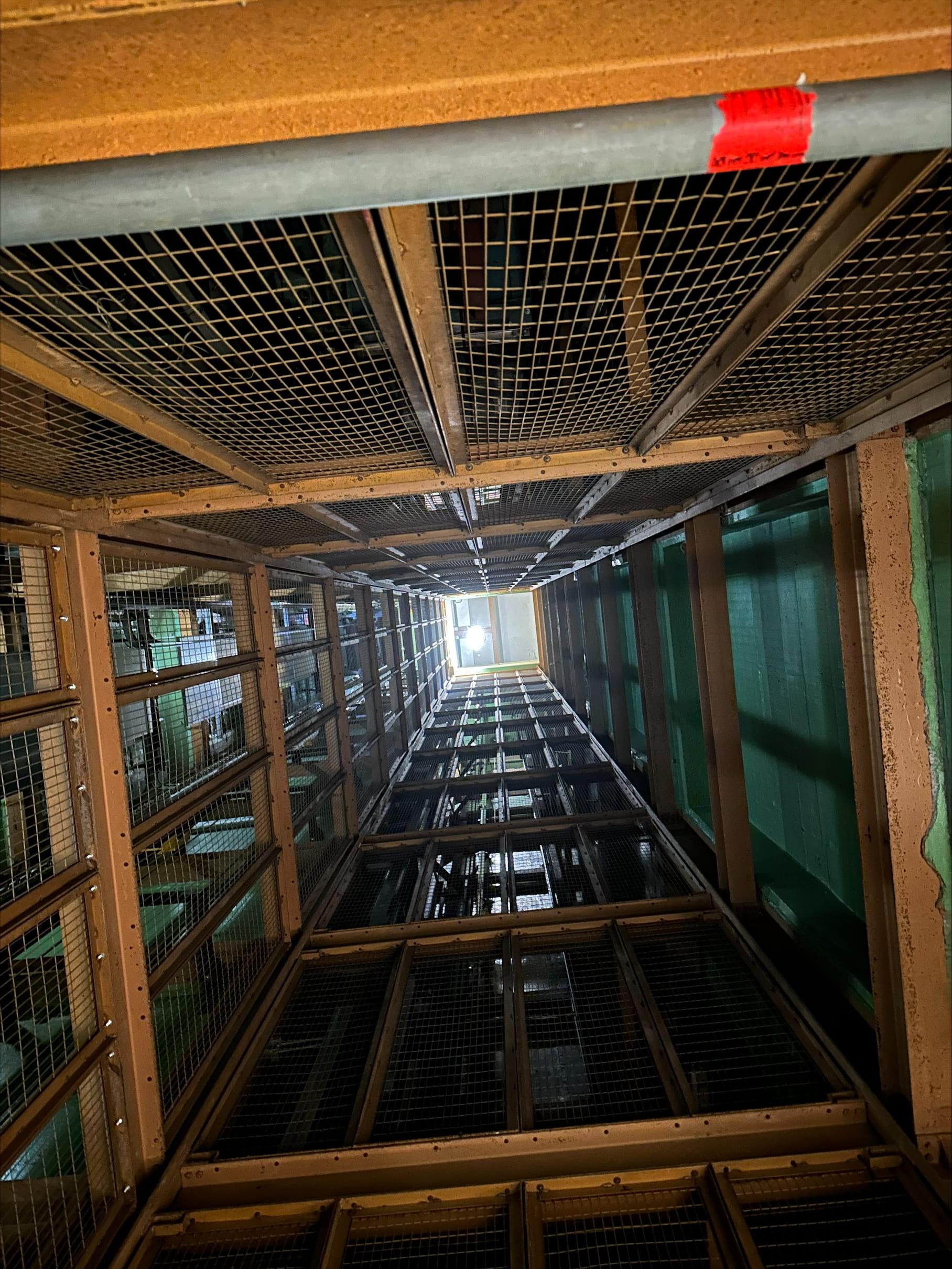 processed-6277C094-99BD-4A9A-97BC-478E4C93CF34-A858EBAD-9641-4EF0-87F5-8E0E17174C1E