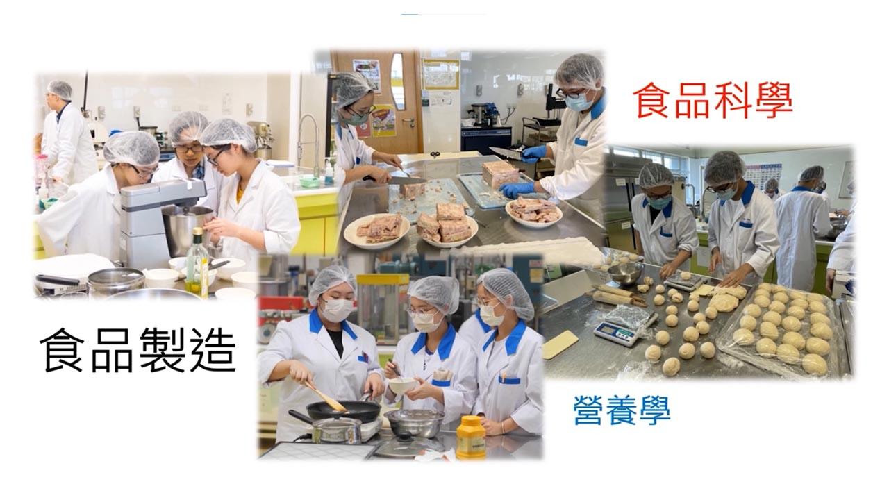 職專文憑（食品科技及營養）